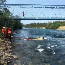 swift-water-rescue-course-13